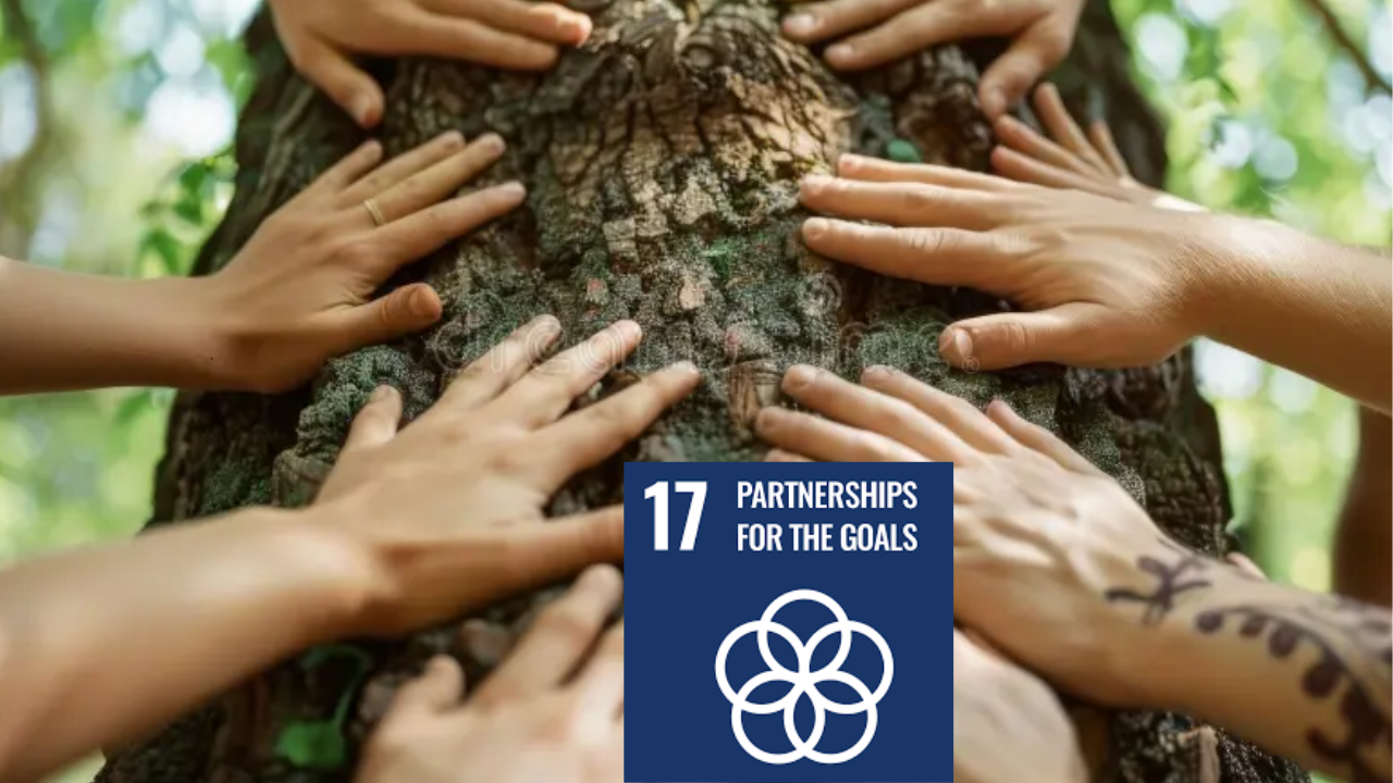 Sustainable Development Goal 17: Partnerships for the Goals