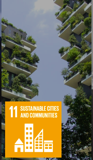 Sustainable Development Goal 11: Sustainable Cities and Communities